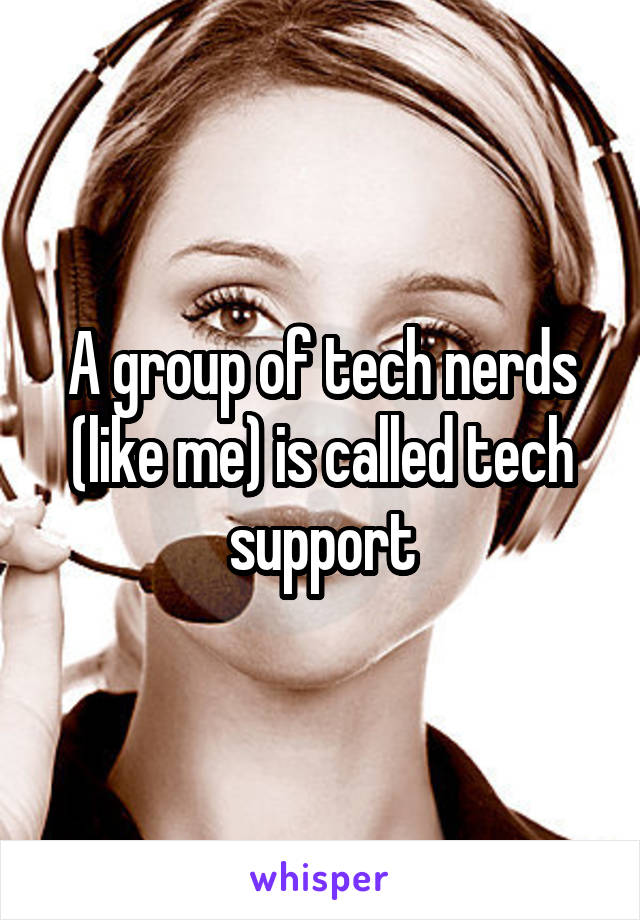 A group of tech nerds (like me) is called tech support