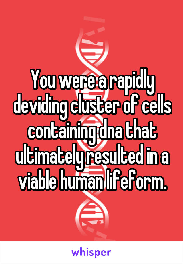 You were a rapidly deviding cluster of cells containing dna that ultimately resulted in a viable human lifeform.