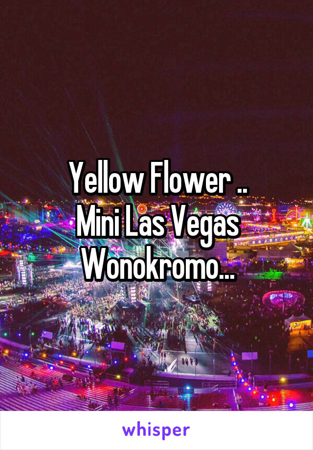 Yellow Flower ..
Mini Las Vegas Wonokromo...