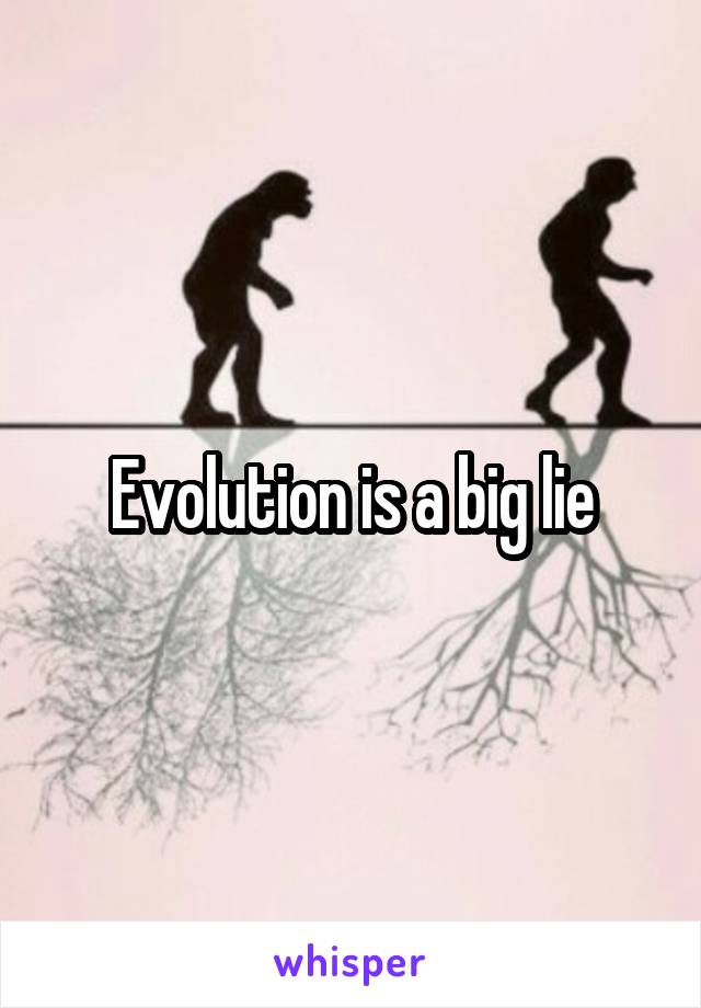 Evolution is a big lie