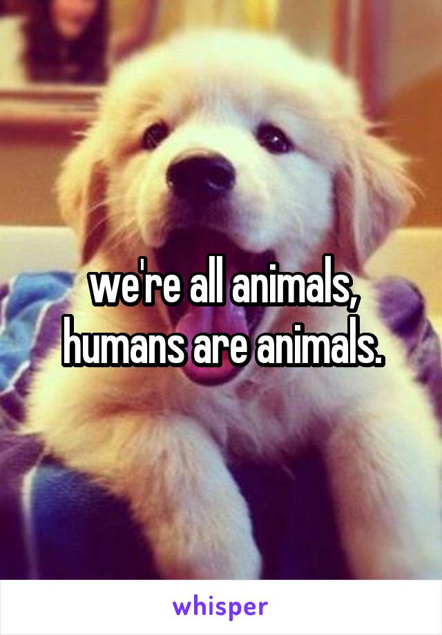 we're all animals, humans are animals.