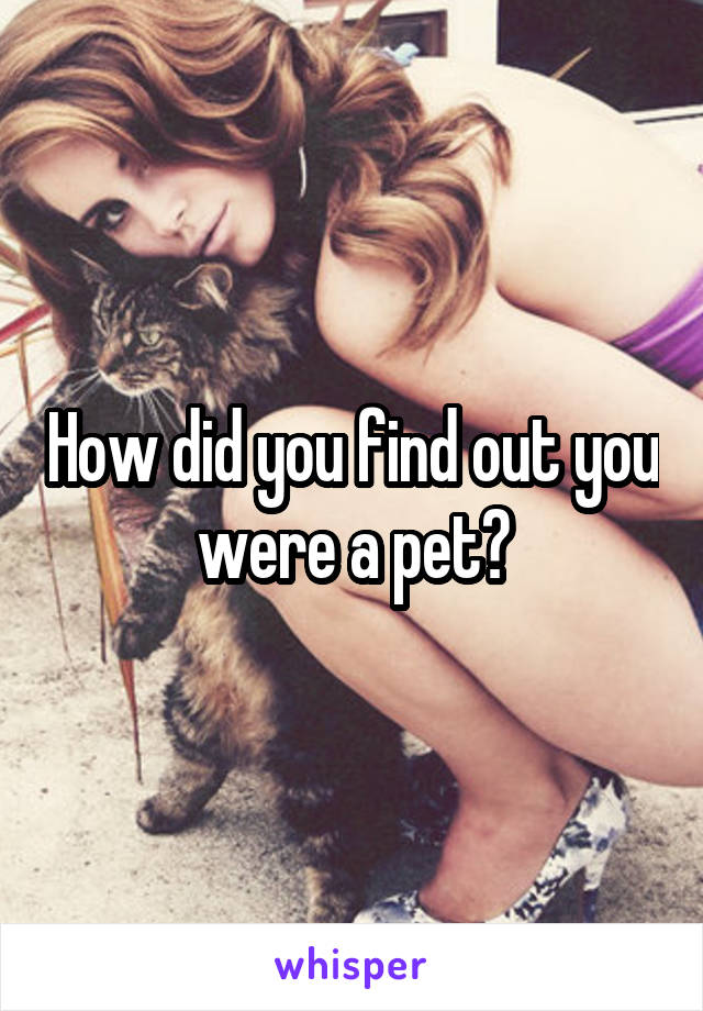 How did you find out you were a pet?