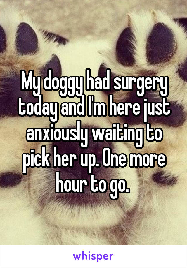 My doggy had surgery today and I'm here just anxiously waiting to pick her up. One more hour to go. 