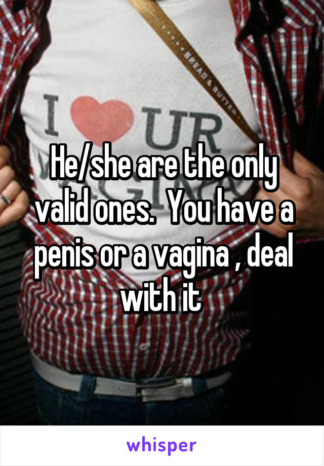 He/she are the only valid ones.  You have a penis or a vagina , deal with it 