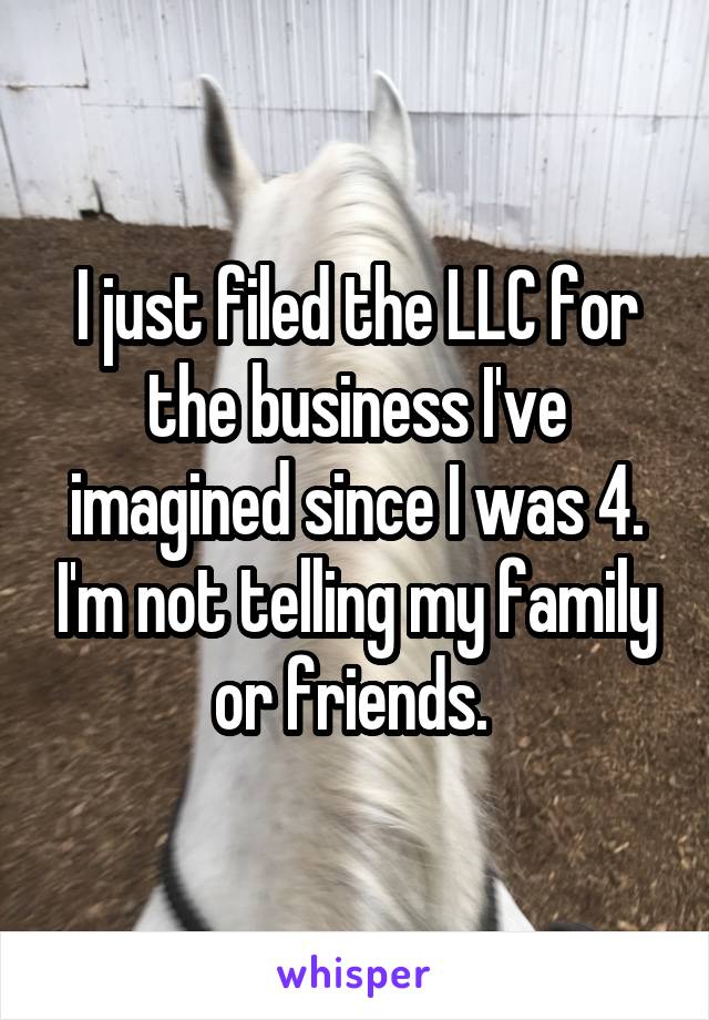 I just filed the LLC for the business I've imagined since I was 4. I'm not telling my family or friends. 