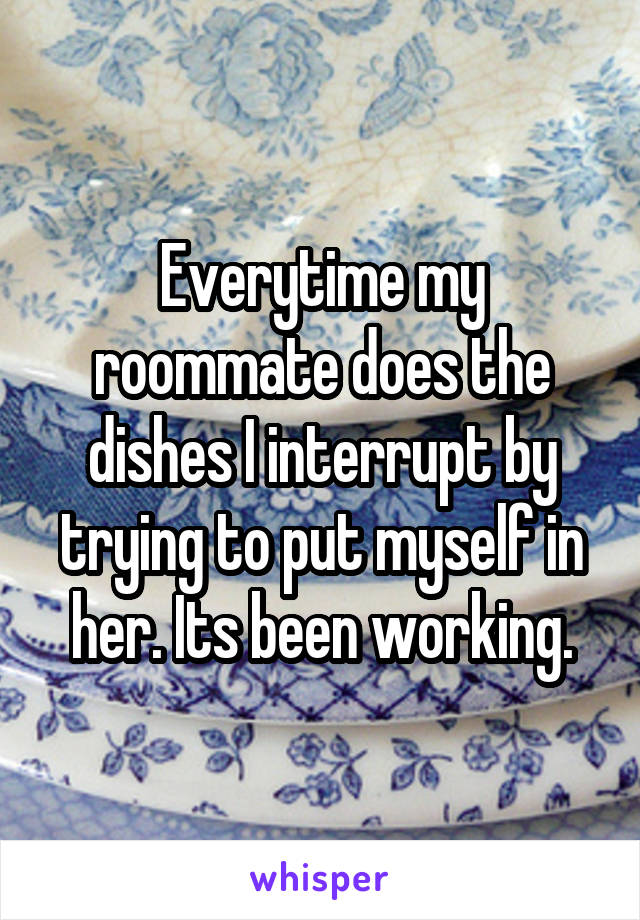 Everytime my roommate does the dishes I interrupt by trying to put myself in her. Its been working.