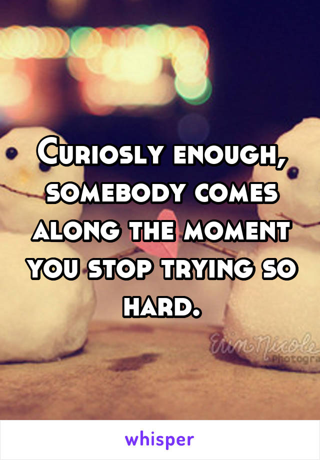 Curiosly enough, somebody comes along the moment you stop trying so hard.