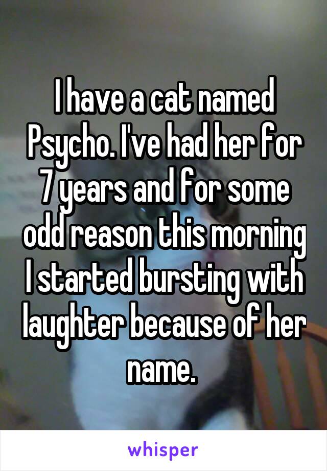 I have a cat named Psycho. I've had her for 7 years and for some odd reason this morning I started bursting with laughter because of her name. 