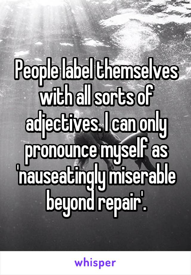 People label themselves with all sorts of adjectives. I can only pronounce myself as 'nauseatingly miserable beyond repair'.