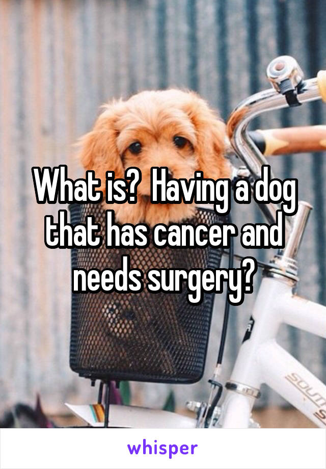 What is?  Having a dog that has cancer and needs surgery?