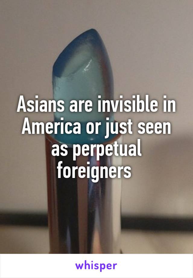 Asians are invisible in America or just seen as perpetual foreigners 