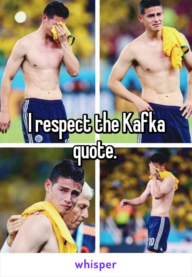 I respect the Kafka quote. 