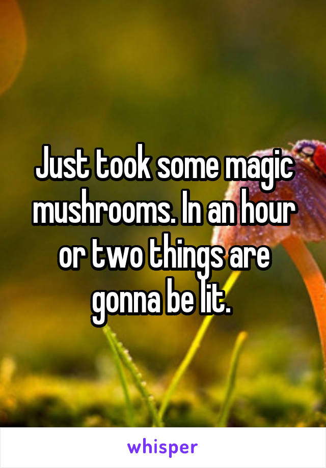 Just took some magic mushrooms. In an hour or two things are gonna be lit. 