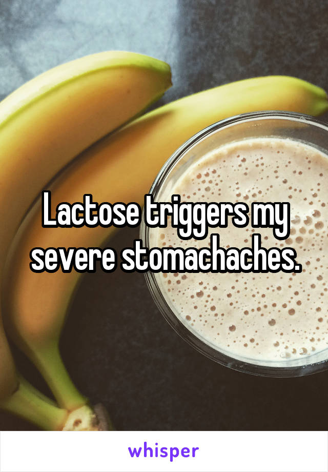 Lactose triggers my severe stomachaches.