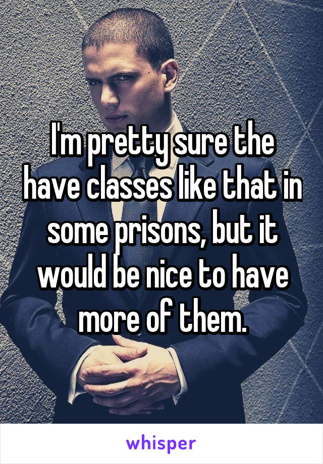 I'm pretty sure the have classes like that in some prisons, but it would be nice to have more of them.