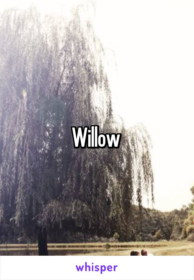 Willow 