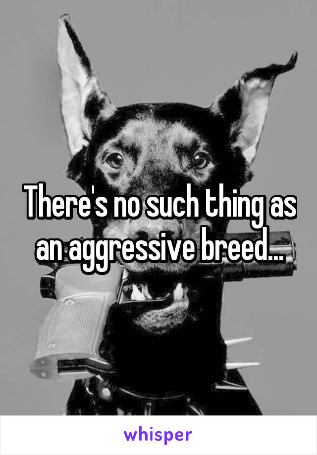 There's no such thing as an aggressive breed...