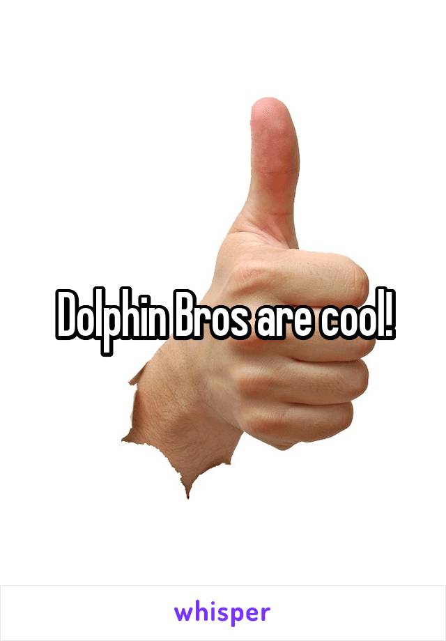 Dolphin Bros are cool!