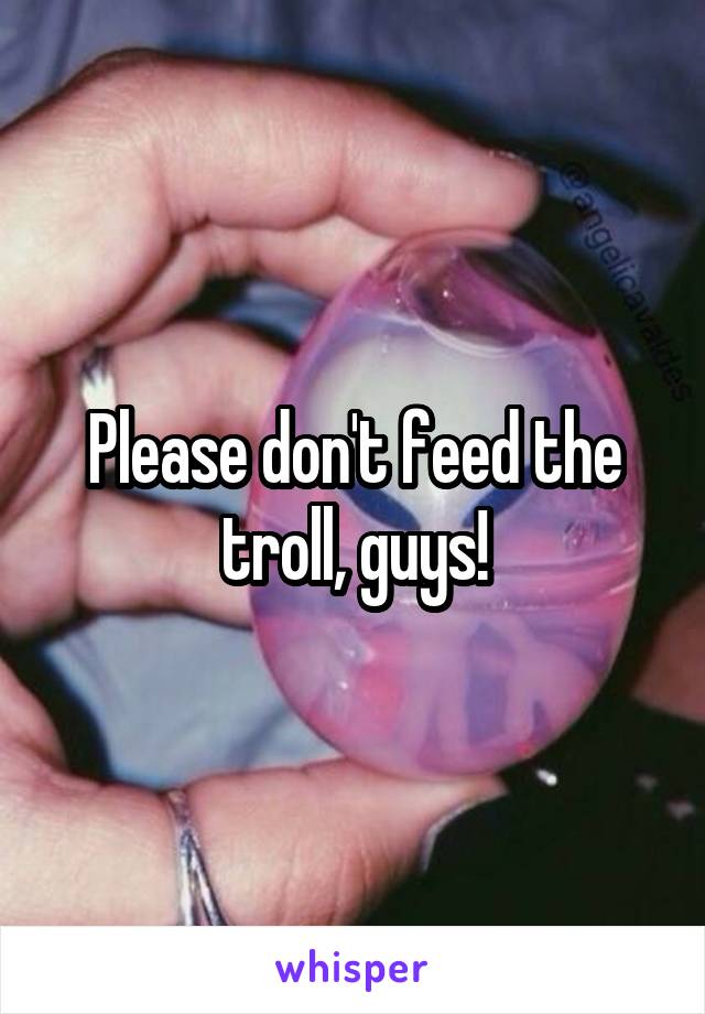 Please don't feed the troll, guys!