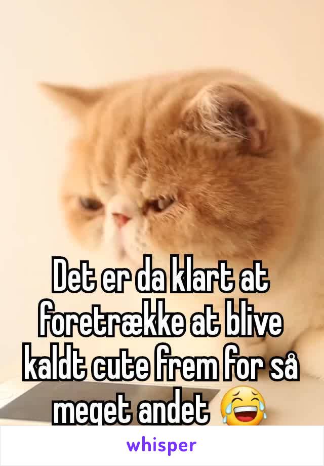 Det er da klart at foretrække at blive kaldt cute frem for så meget andet 😂