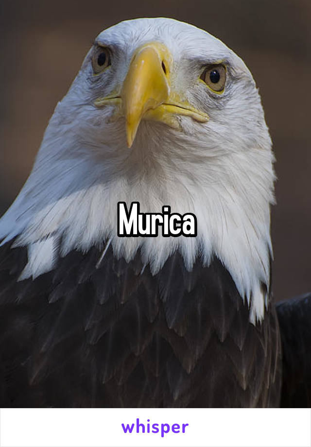 Murica