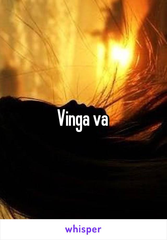 Vinga va 