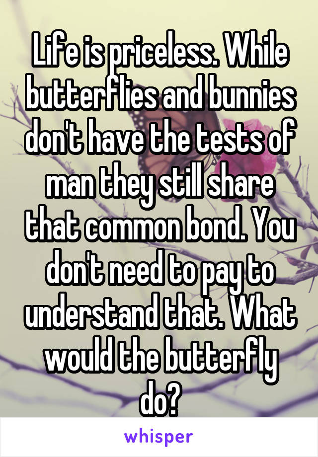 Life is priceless. While butterflies and bunnies don't have the tests of man they still share that common bond. You don't need to pay to understand that. What would the butterfly do?