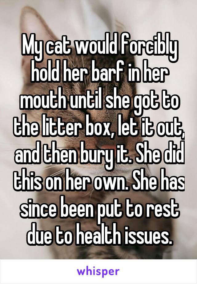 My cat would forcibly hold her barf in her mouth until she got to the litter box, let it out, and then bury it. She did this on her own. She has since been put to rest due to health issues.