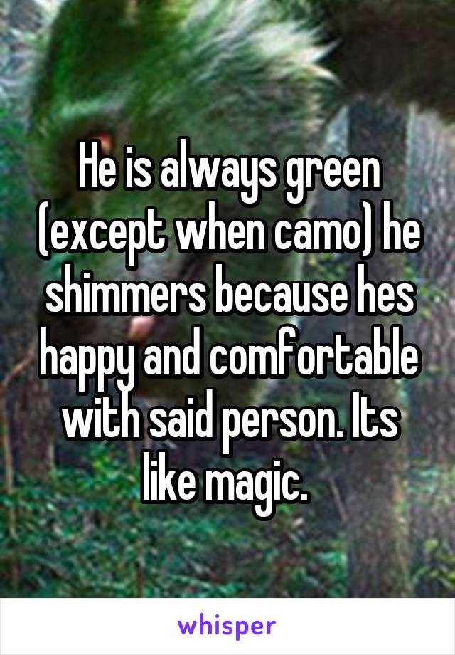 He is always green (except when camo) he shimmers because hes happy and comfortable with said person. Its like magic. 