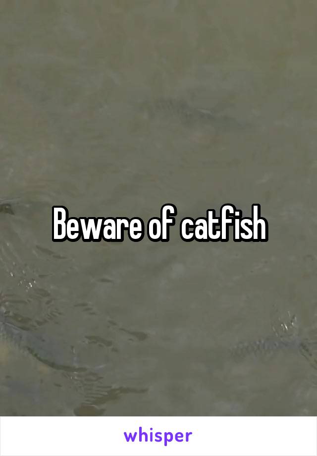 Beware of catfish