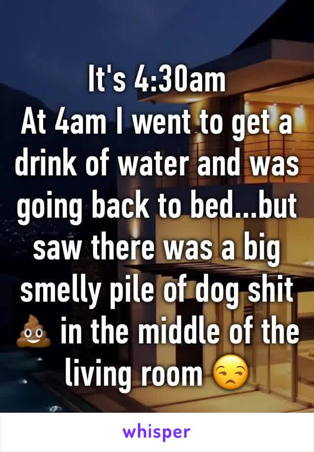 It's 4:30am
At 4am I went to get a drink of water and was going back to bed...but saw there was a big smelly pile of dog shit 💩 in the middle of the living room 😒