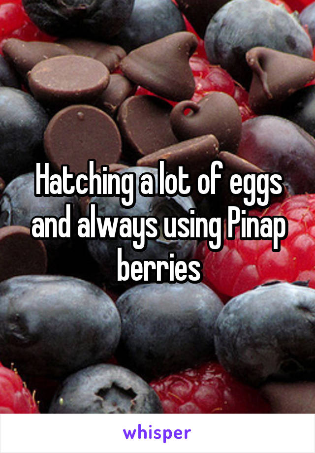 Hatching a lot of eggs and always using Pinap berries