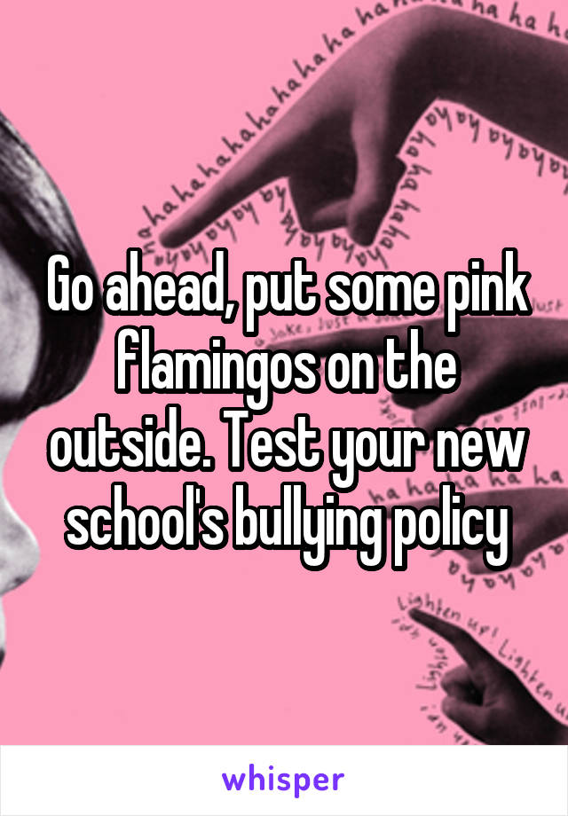 Go ahead, put some pink flamingos on the outside. Test your new school's bullying policy