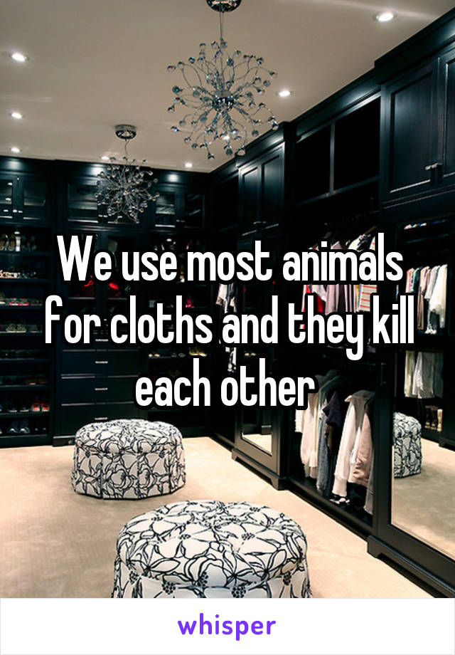 We use most animals for cloths and they kill each other 