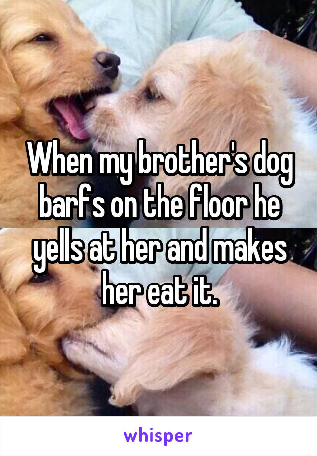 When my brother's dog barfs on the floor he yells at her and makes her eat it.