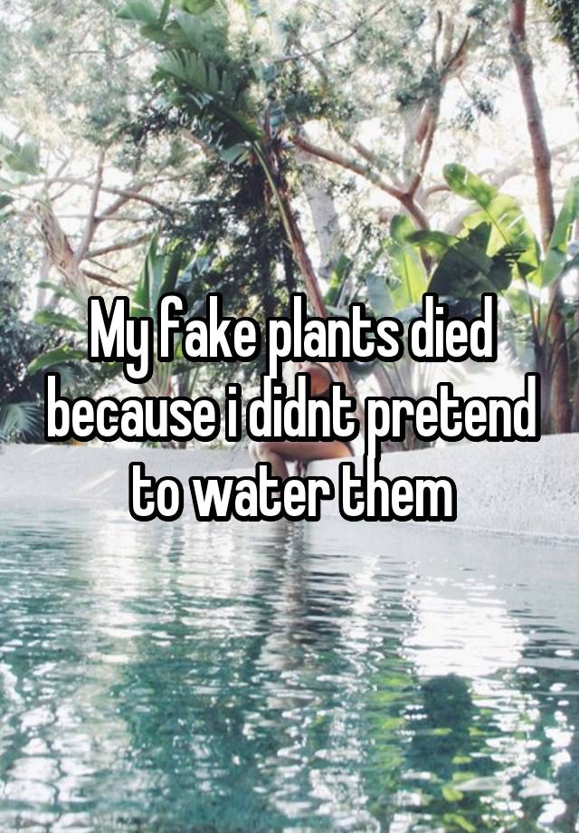 My fake plants died because i didnt pretend to water them