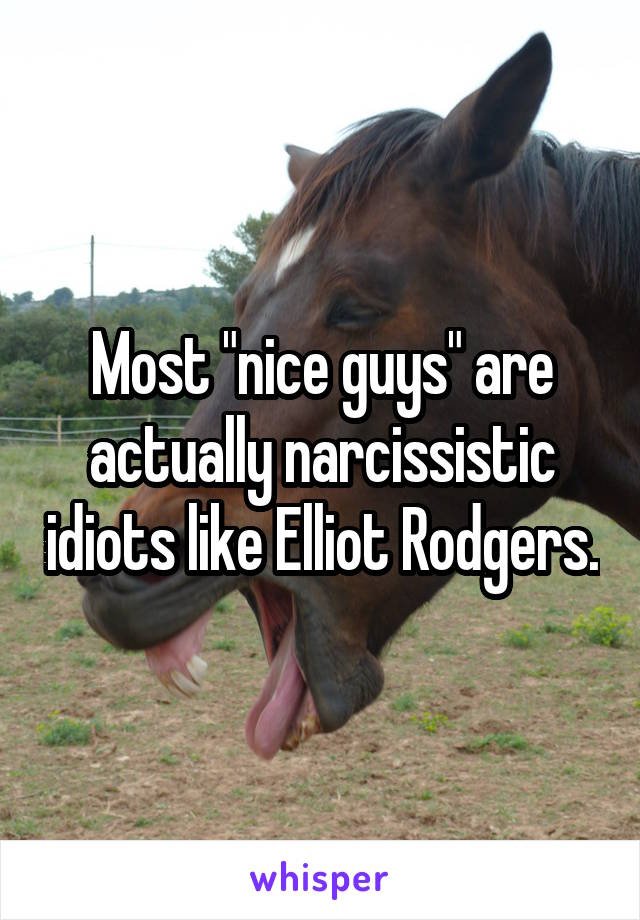 Most "nice guys" are actually narcissistic idiots like Elliot Rodgers.