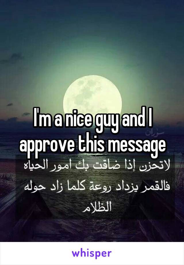 I'm a nice guy and I approve this message