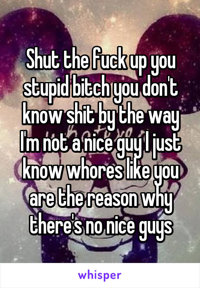 Shut the fuck up you stupid bitch you don't know shit by the way I'm not a nice guy I just know whores like you are the reason why there's no nice guys