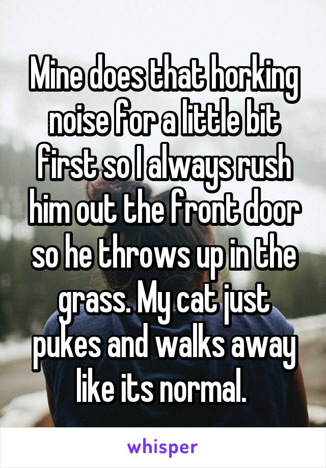 Mine does that horking noise for a little bit first so I always rush him out the front door so he throws up in the grass. My cat just pukes and walks away like its normal. 