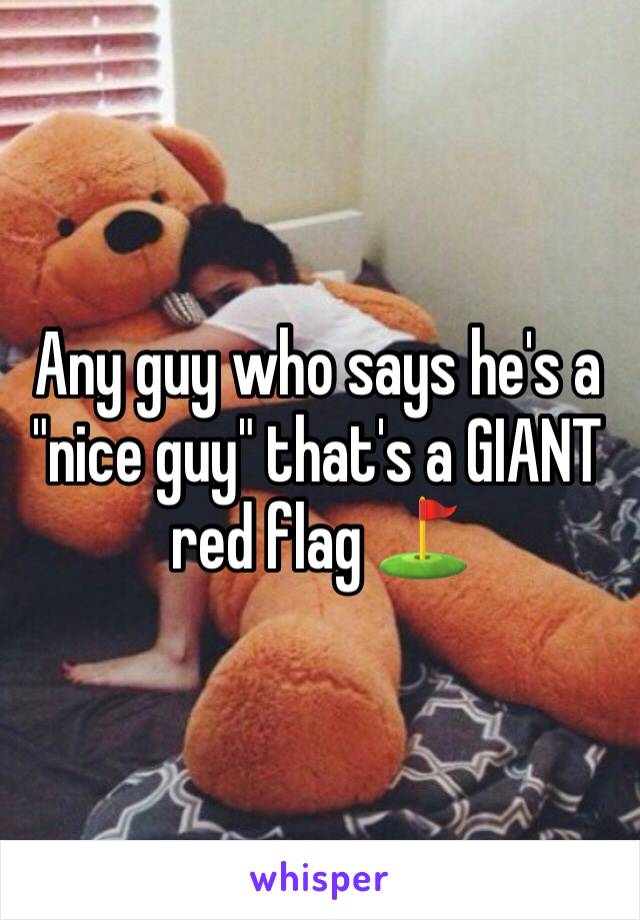 Any guy who says he's a "nice guy" that's a GIANT red flag ⛳️ 