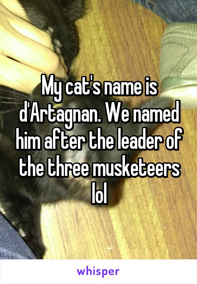 My cat's name is d'Artagnan. We named him after the leader of the three musketeers lol