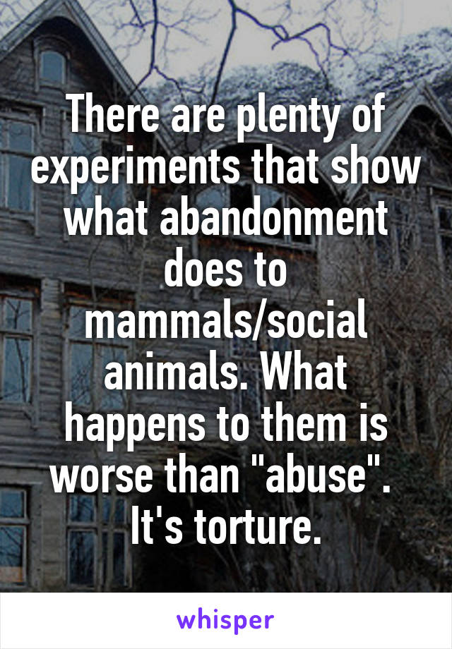 There are plenty of experiments that show what abandonment does to mammals/social animals. What happens to them is worse than "abuse". 
It's torture.