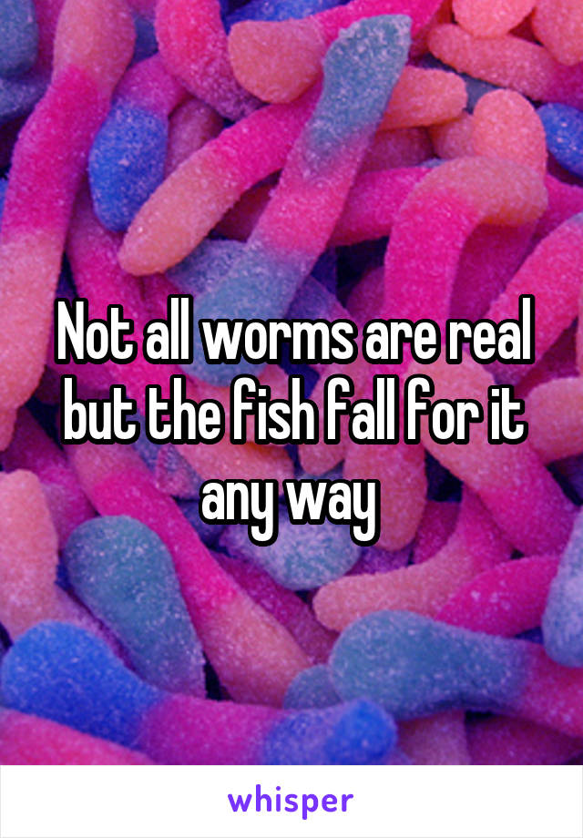 Not all worms are real but the fish fall for it any way 