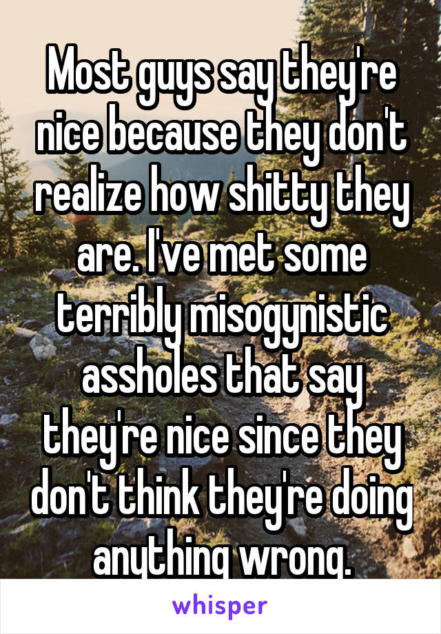 Most guys say they're nice because they don't realize how shitty they are. I've met some terribly misogynistic assholes that say they're nice since they don't think they're doing anything wrong.