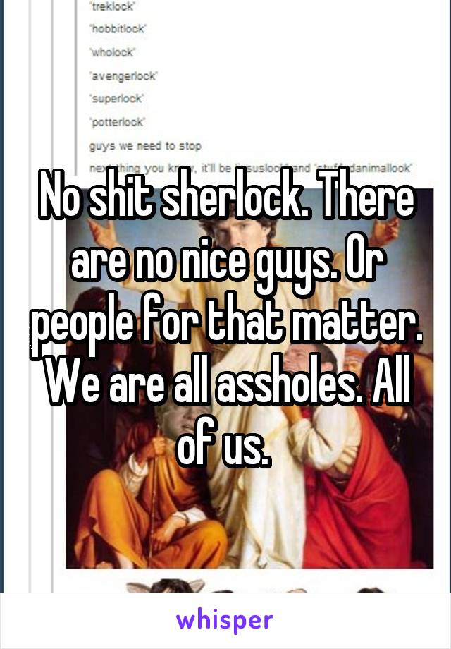 No shit sherlock. There are no nice guys. Or people for that matter. We are all assholes. All of us. 