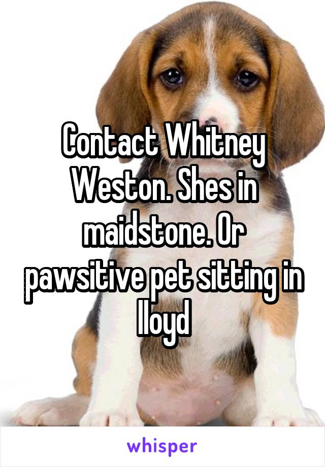 Contact Whitney Weston. Shes in maidstone. Or pawsitive pet sitting in lloyd