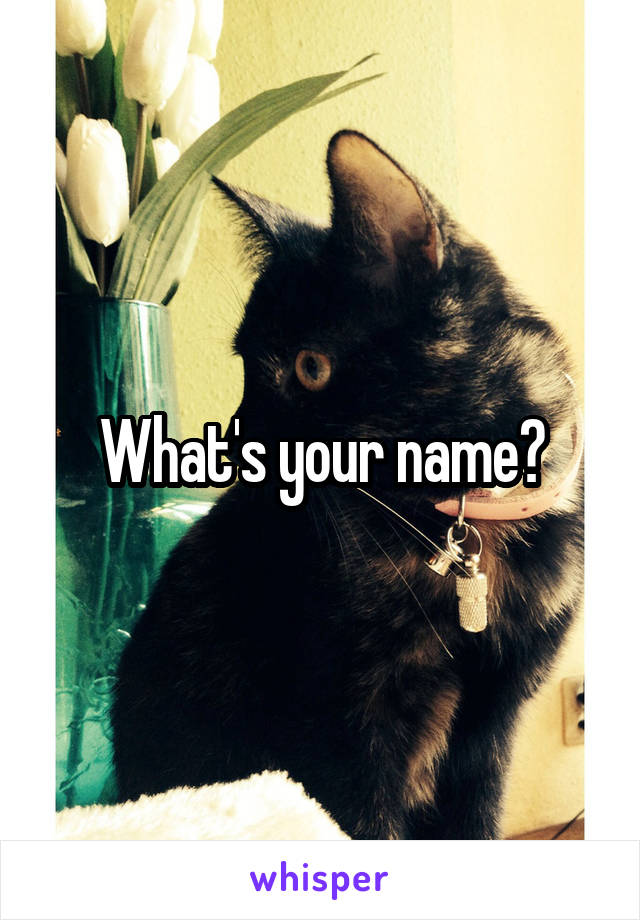 What's your name?