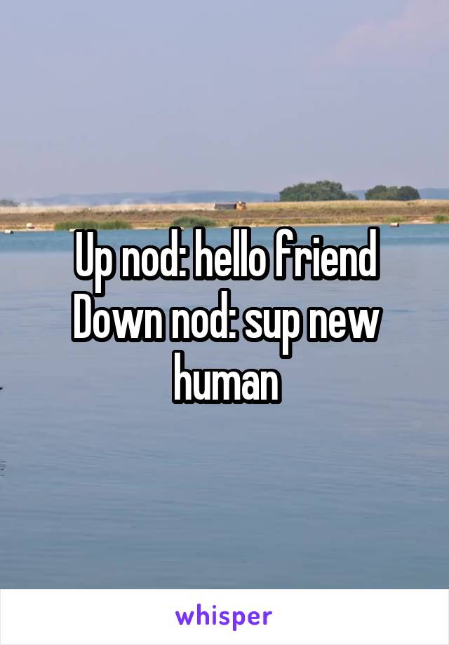 Up nod: hello friend
Down nod: sup new human