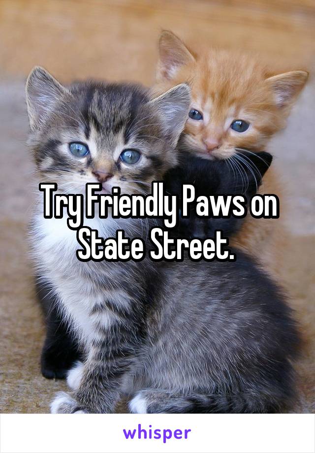 Try Friendly Paws on State Street. 